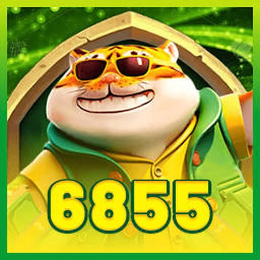 6855.COM